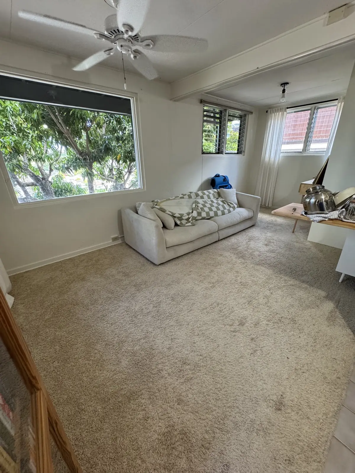 Living room carpet — before cleaning