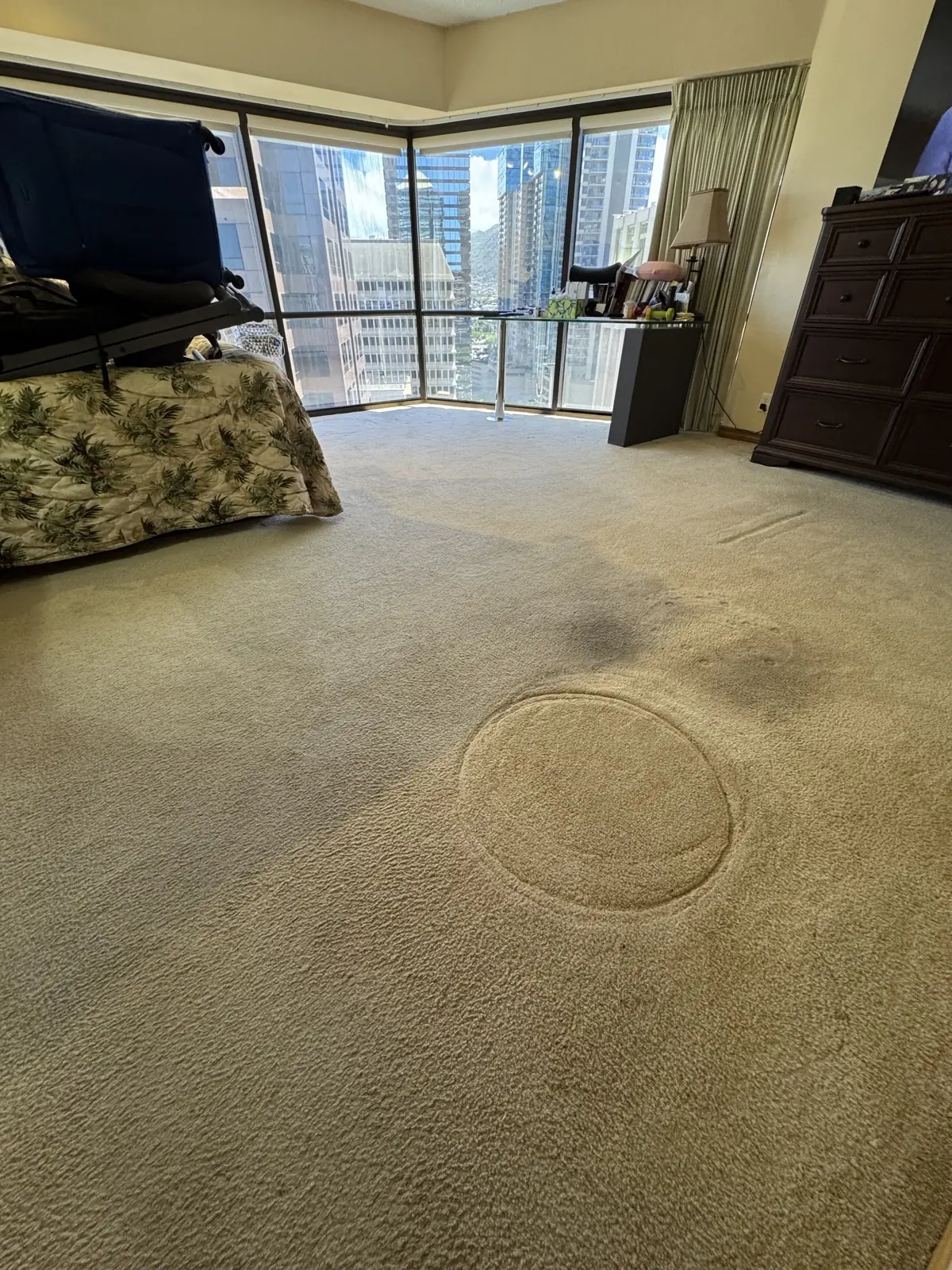 High-rise studio carpet — before cleaning