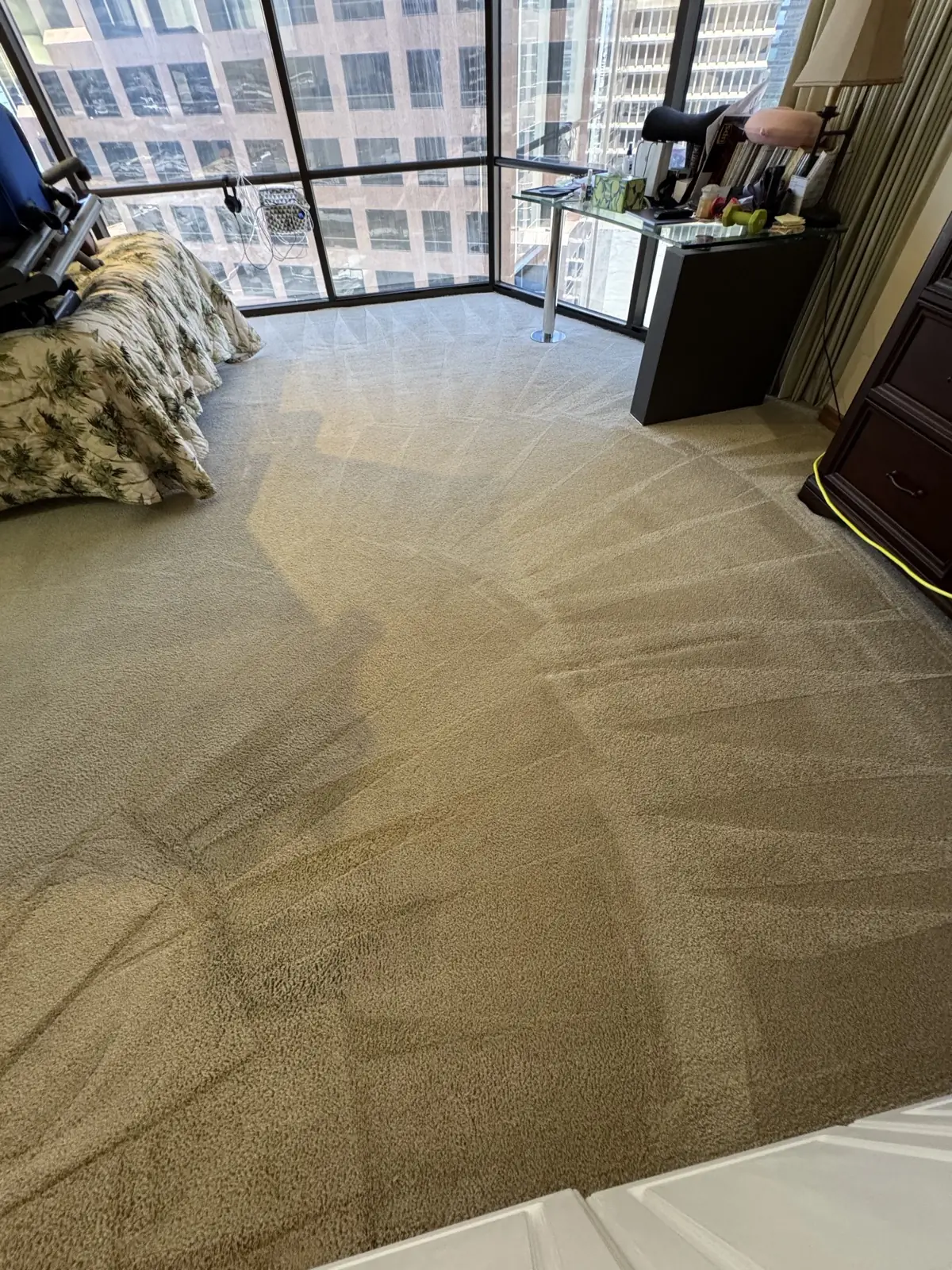 High-rise studio carpet — after cleaning